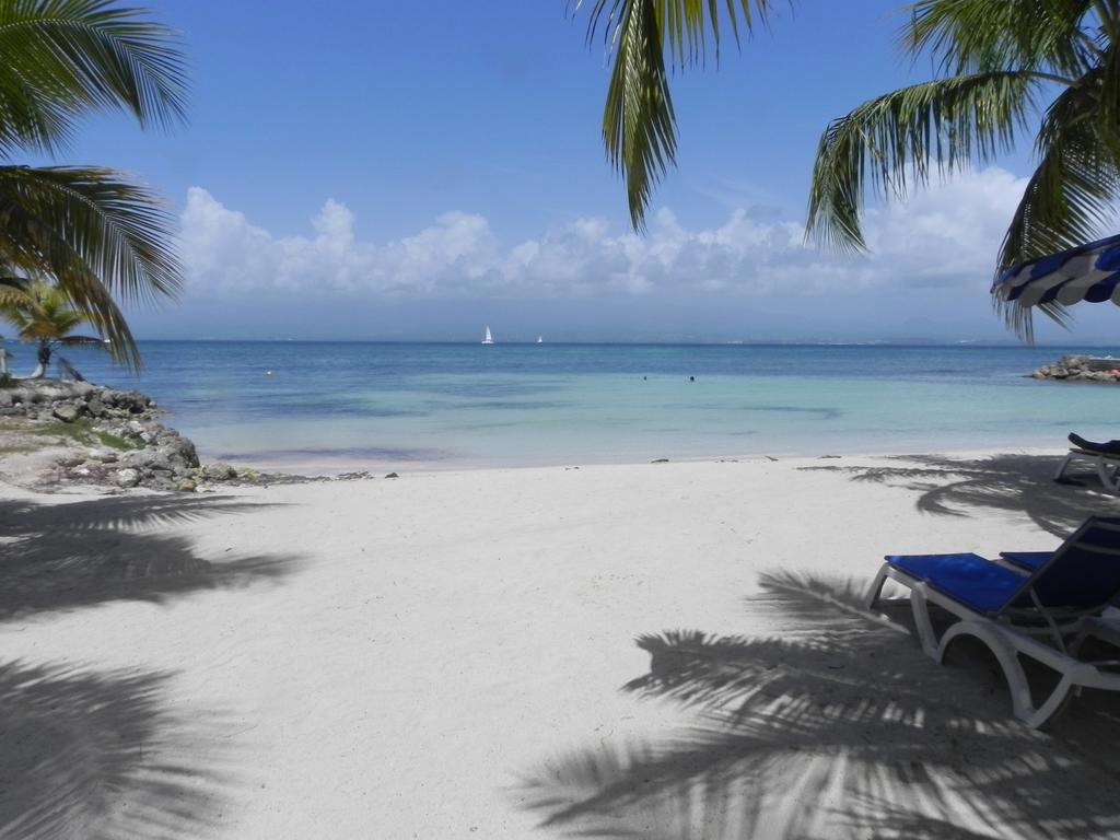 Appartement Bord De Mer Tres Fonctionnel , Sur La Plage & Vue Mer Exceptionnelle 르 고지에 객실 사진